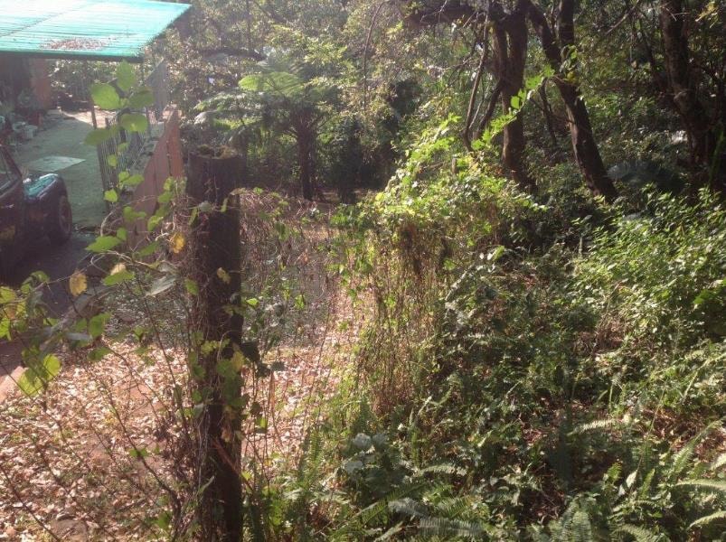 Vacant land for sale in Leisure Bay - 1PD1142108 Vacant land for sale in Leisure Bay - 1PD1142108