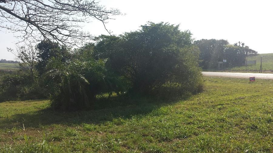 Residential vacant land for sale in Mtunzini - 1RI1184869