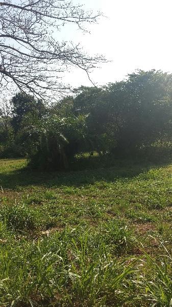 Residential vacant land for sale in Mtunzini - 1RI1184869