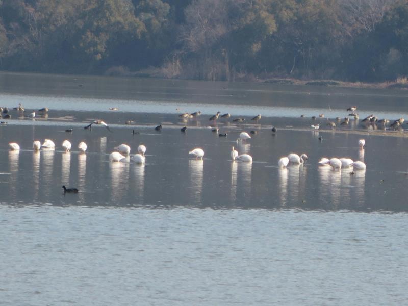 Residential vacant land for sale in Estate D Afrique - 1HR1195864