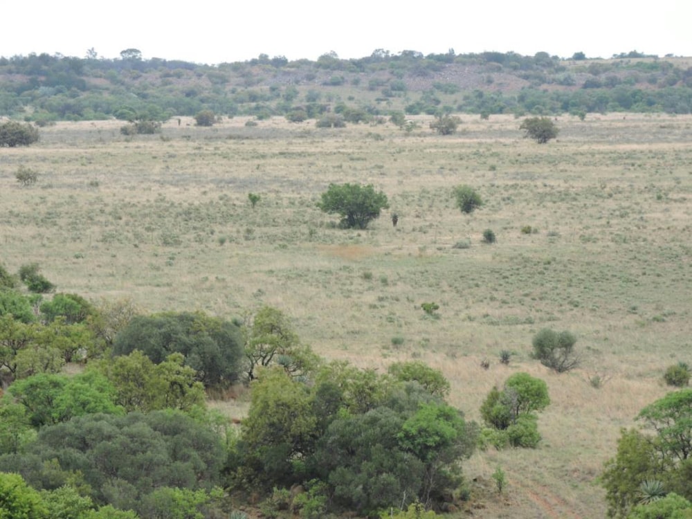 Mixed use farm for sale in Koster - 1RU1200538