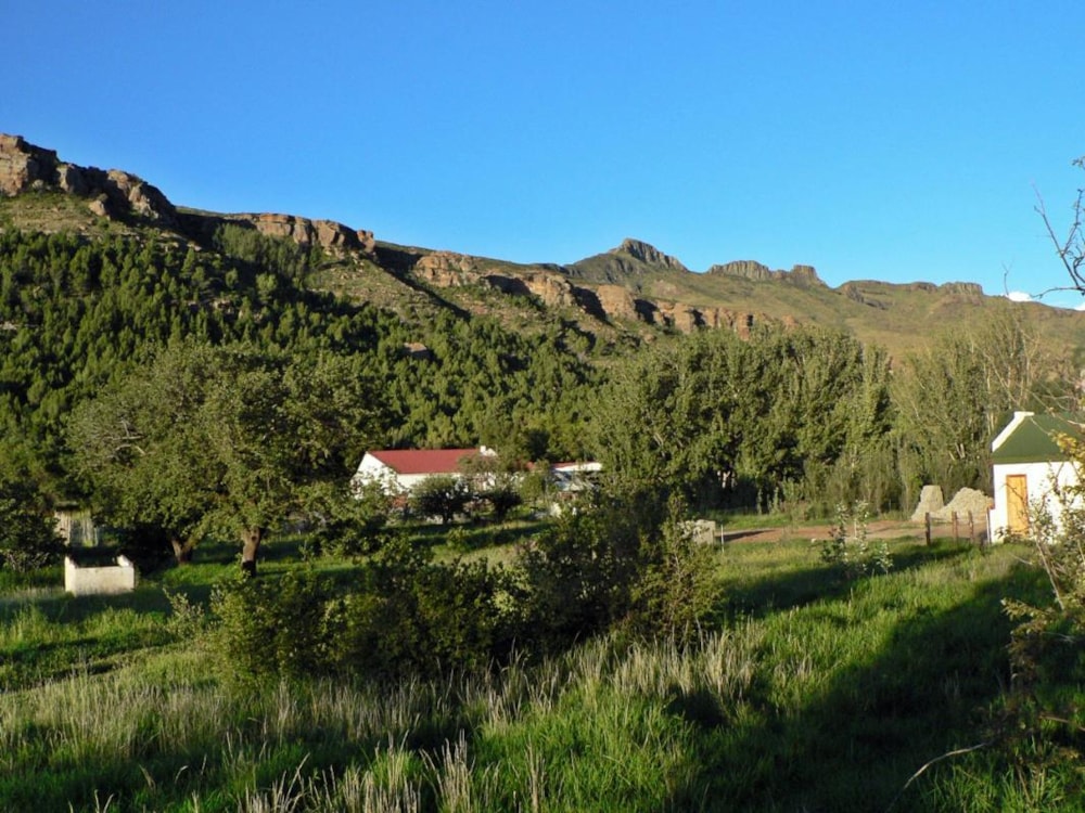 Residential vacant land sold in Lady Grey - 1KK413576 Residential vacant land sold in Lady Grey - 1KK413576