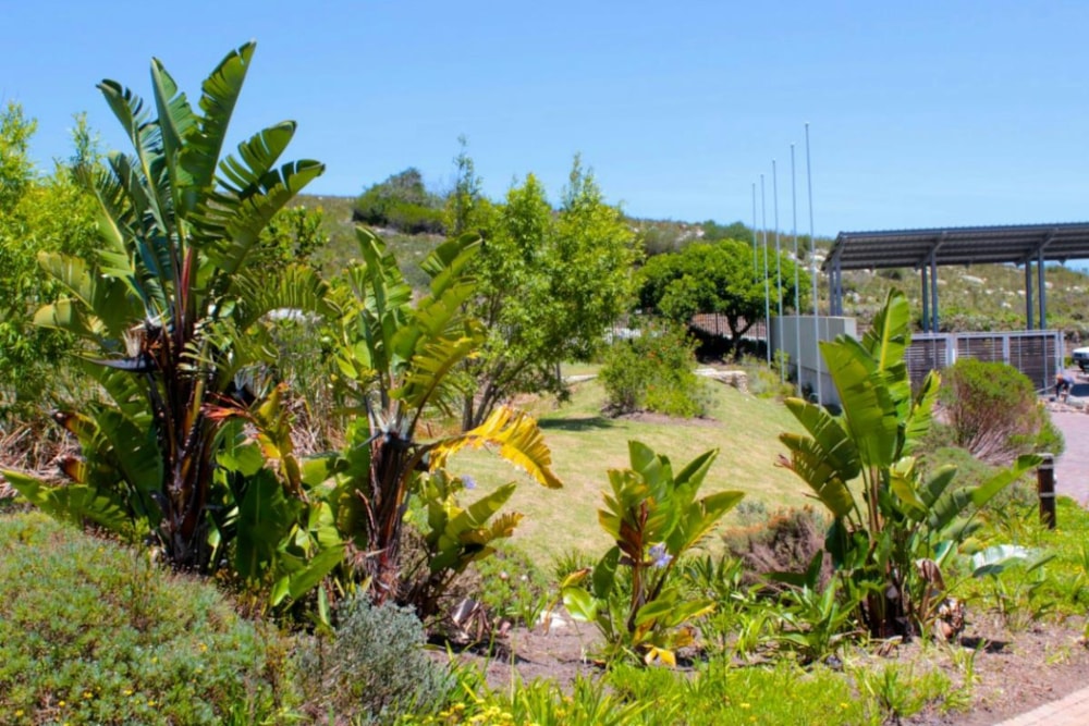 Residential vacant land for sale in Fernwood, Knysna - 1KC1202336