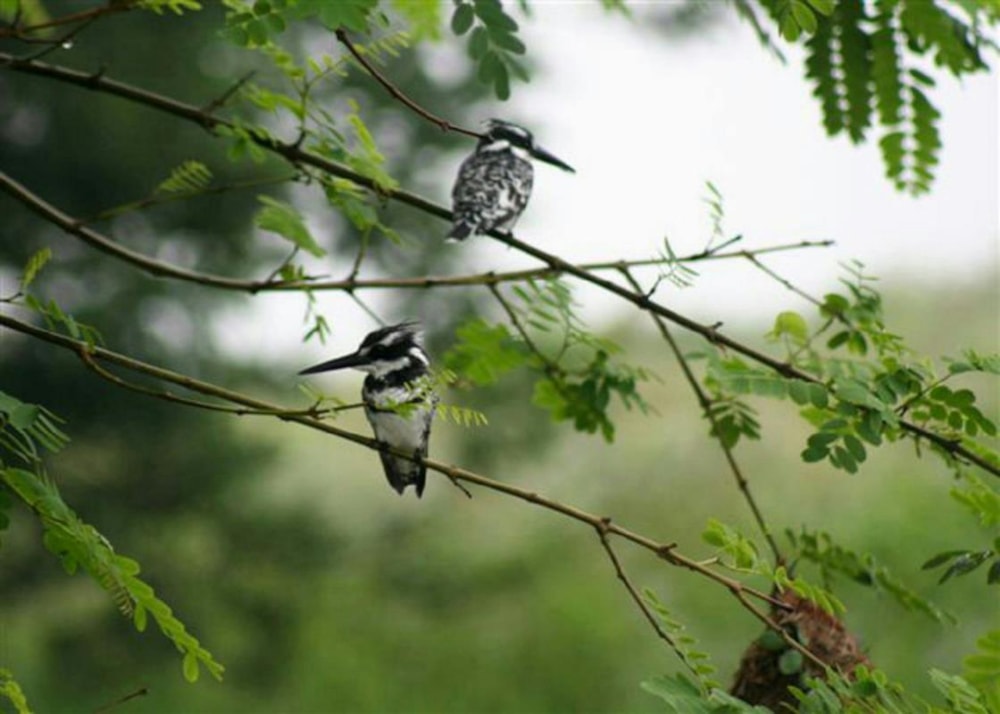 Residential vacant land for sale in Hazyview - 1LY1202549