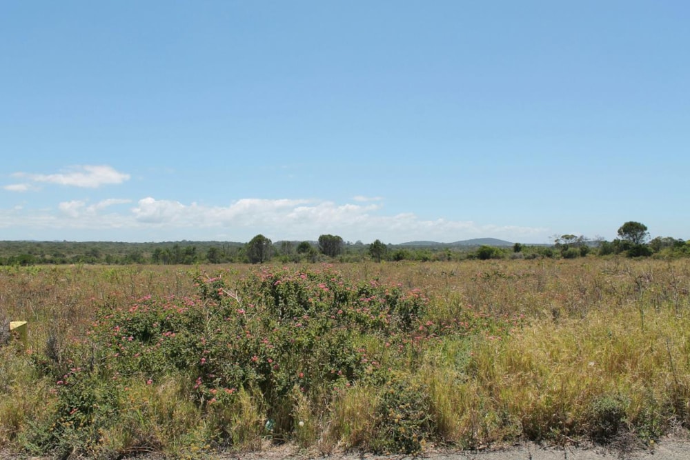 Vacant land sold in East Bank - 1PF1203075 Vacant land sold in East Bank - 1PF1203075