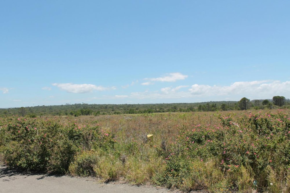 Vacant land sold in East Bank - 1PF1203075 Vacant land sold in East Bank - 1PF1203075