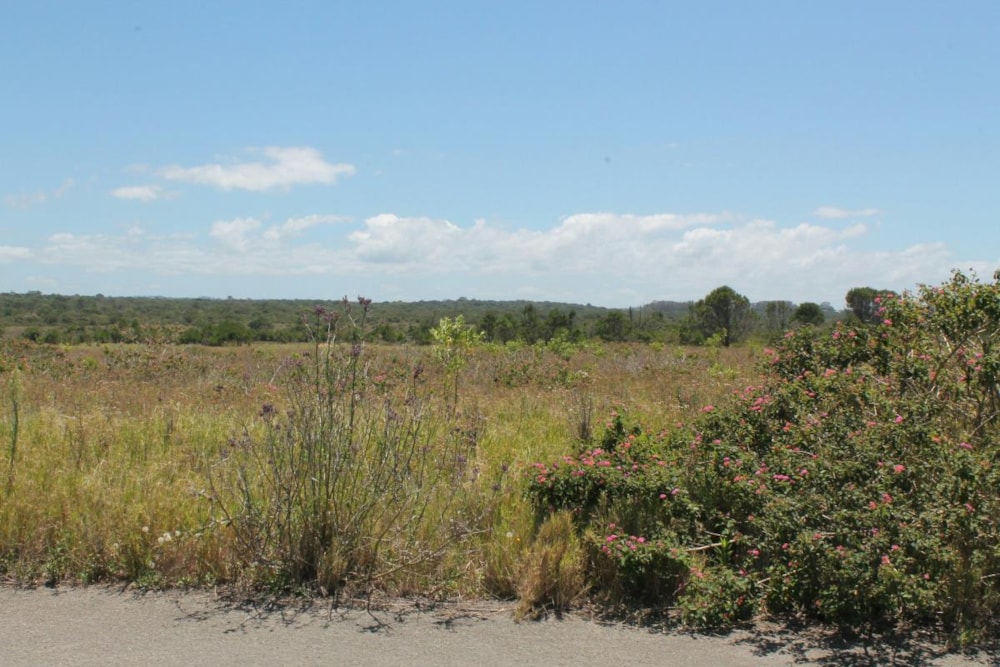 Vacant land sold in East Bank - 1PF1203075 Vacant land sold in East Bank - 1PF1203075