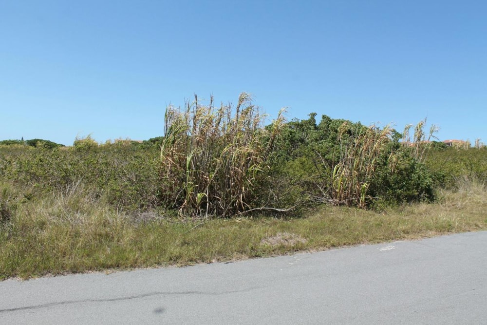 Vacant land for sale in Forest Downs - 1PF1206631