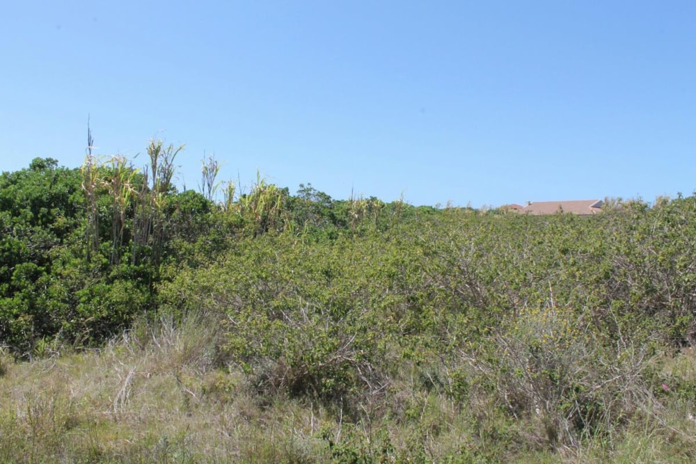 Vacant land for sale in Forest Downs - 1PF1206631