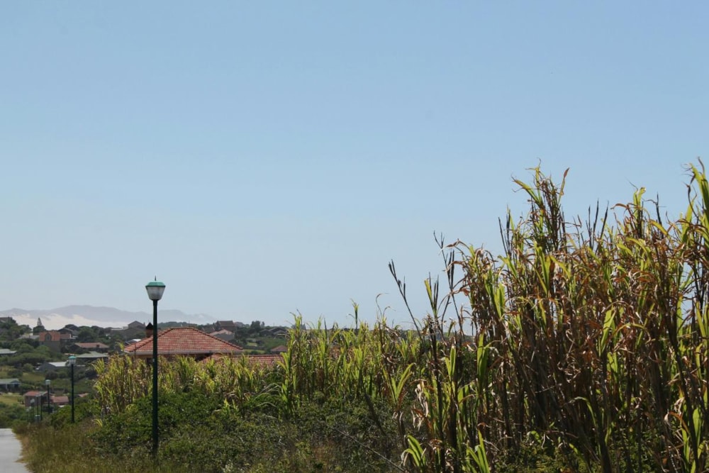 Vacant land for sale in Forest Downs - 1PF1206631