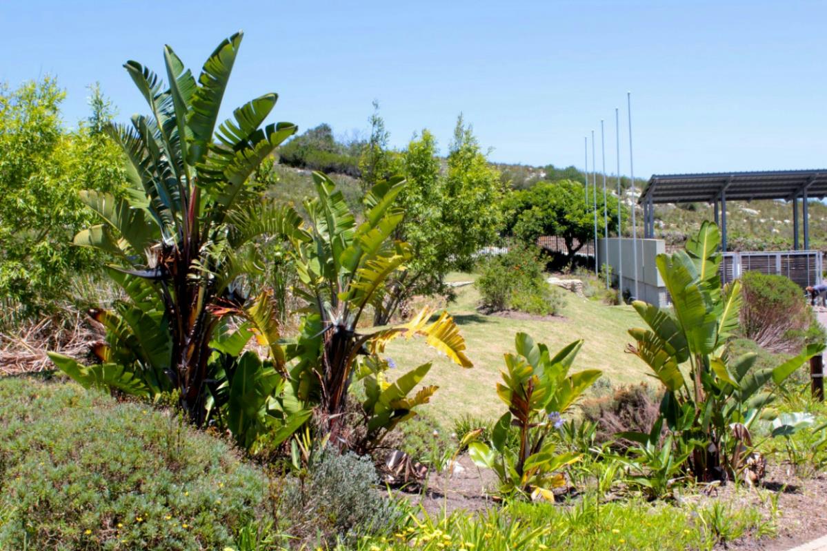 Residential vacant land sold in Fernwood, Knysna - 1KC1203558