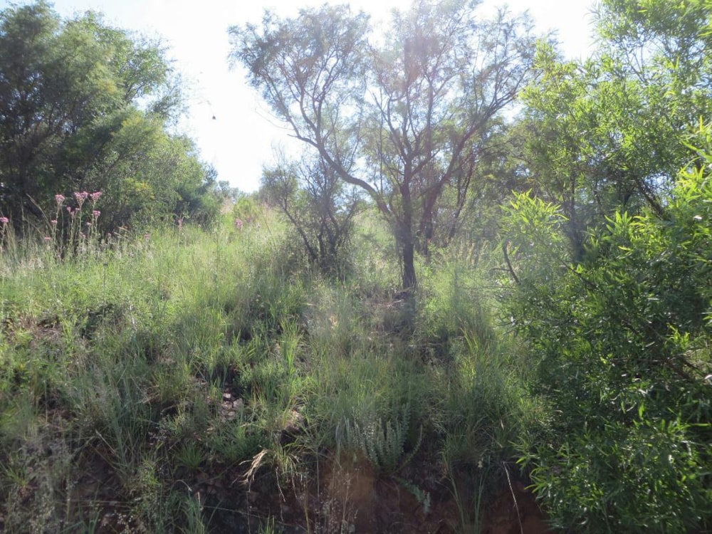 Residential vacant land for sale in Estate D Afrique - 1HR1205870