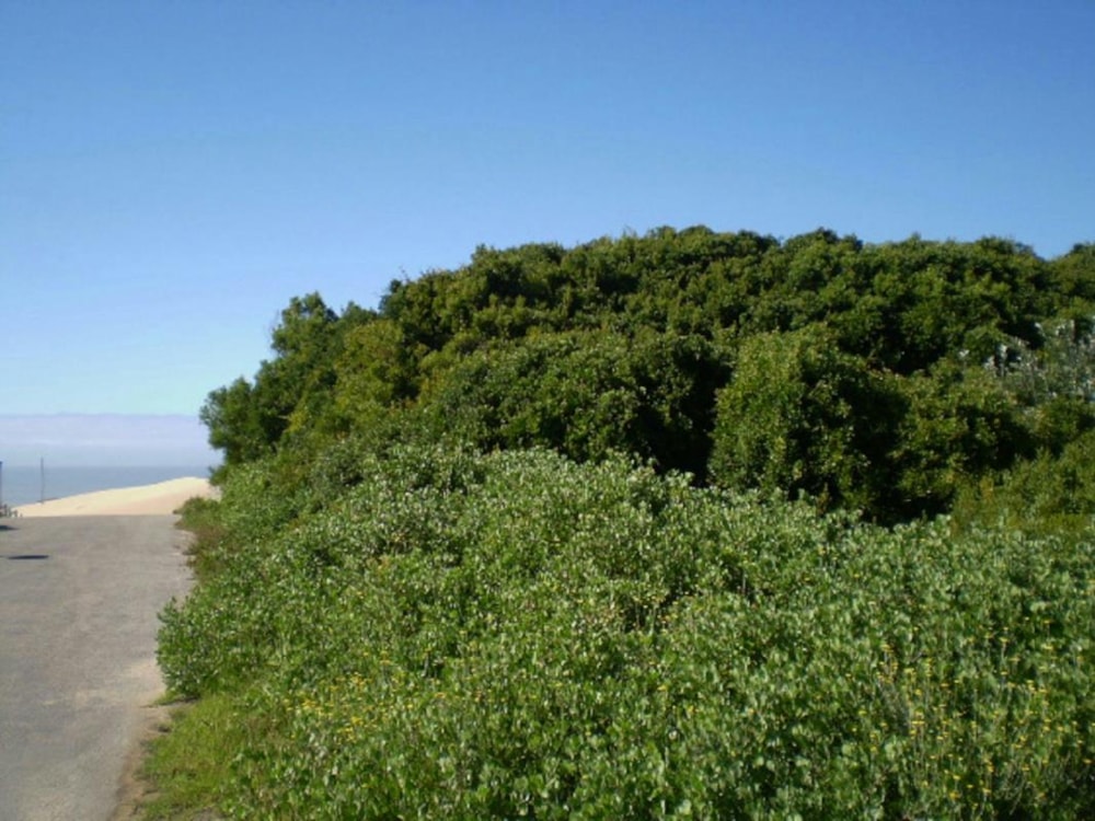 Vacant land for sale in Cannon Rocks - 1KO1733900