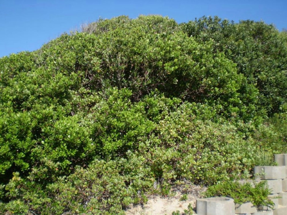 Vacant land for sale in Cannon Rocks - 1KO1733900