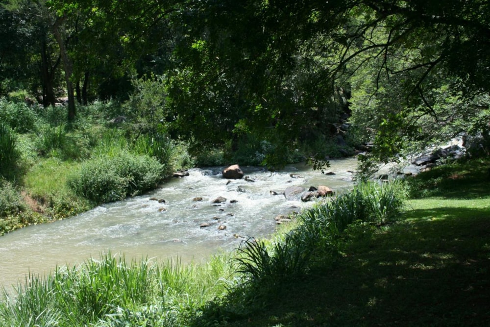 Smallholding for sale in Tzaneen, Limpopo Province - 1TA1658308