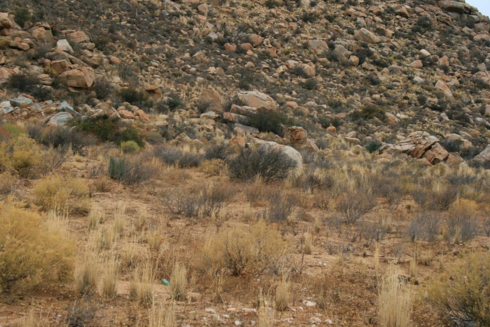 Vacant land sold in Springbok - 1NA1622374