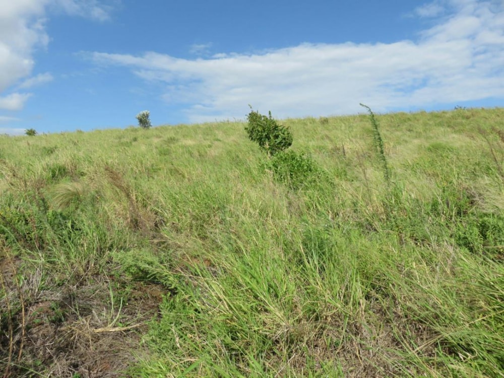 Residential vacant land for sale in Mtunzini - 1RI1021339