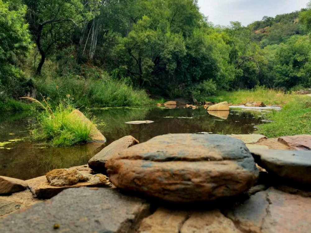 Game farm for sale in Groot Marico - 1RU1211960