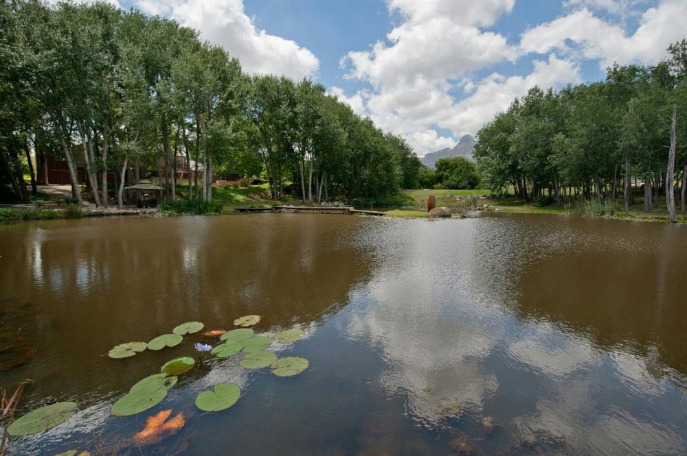 Lifestyle property for sale in Stellenbosch Farms - ST1633216 Lifestyle property for sale in Stellenbosch Farms - ST1633216