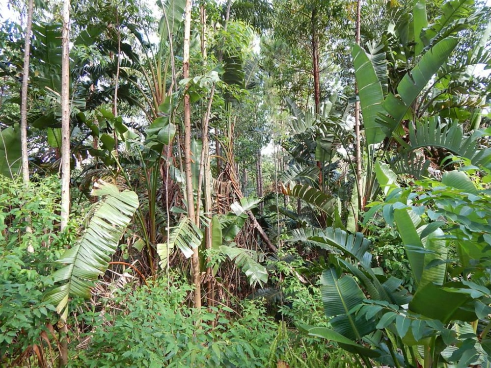 Vacant land for sale in Marina Beach - 1PD1528562 Vacant land for sale in Marina Beach - 1PD1528562