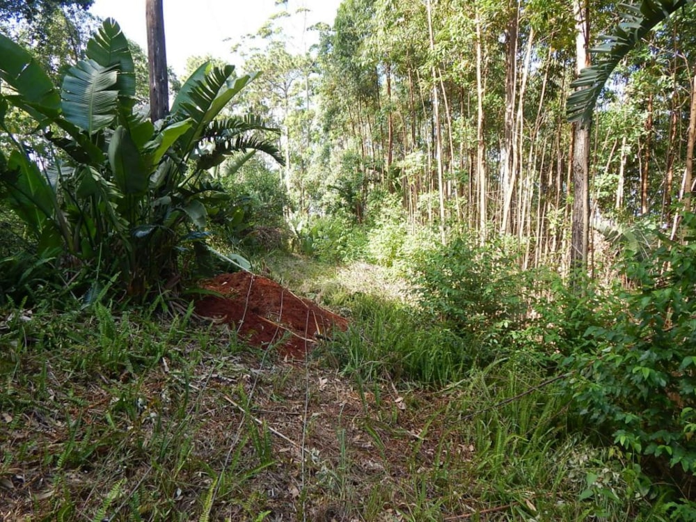 Vacant land for sale in Marina Beach - 1PD1528562 Vacant land for sale in Marina Beach - 1PD1528562