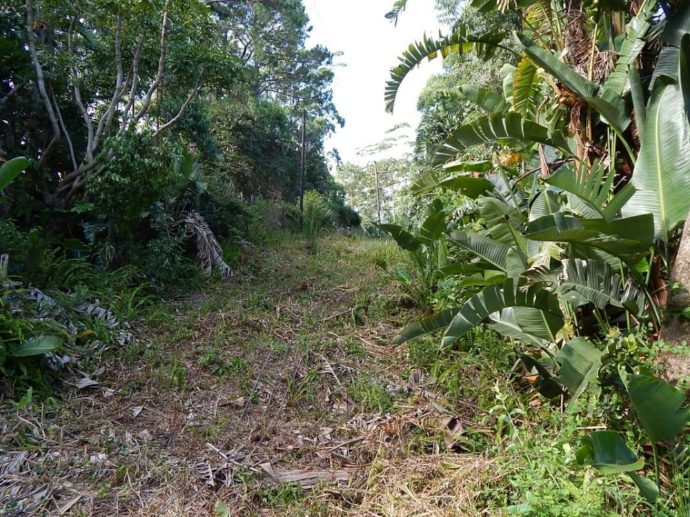 Vacant land for sale in Marina Beach - 1PD1528562