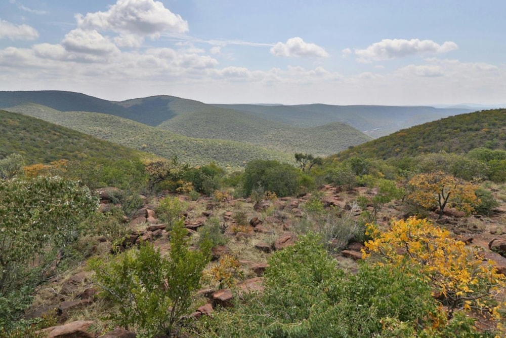 Security estate home for sale in Ellisras (Lephalale) - 1ER1216255