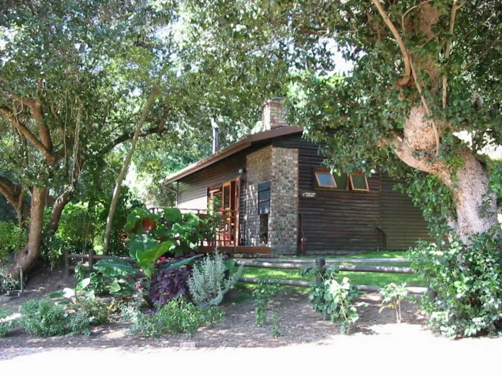 Commercial business for sale in Sedgefield Rural - 1SH1720324 Commercial business for sale in Sedgefield Rural - 1SH1720324