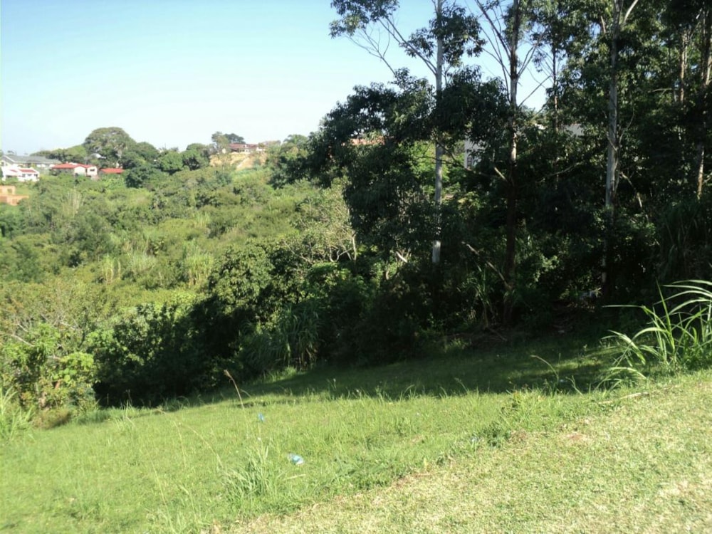 Residential vacant land for sale in Albersville - 1PX1217610