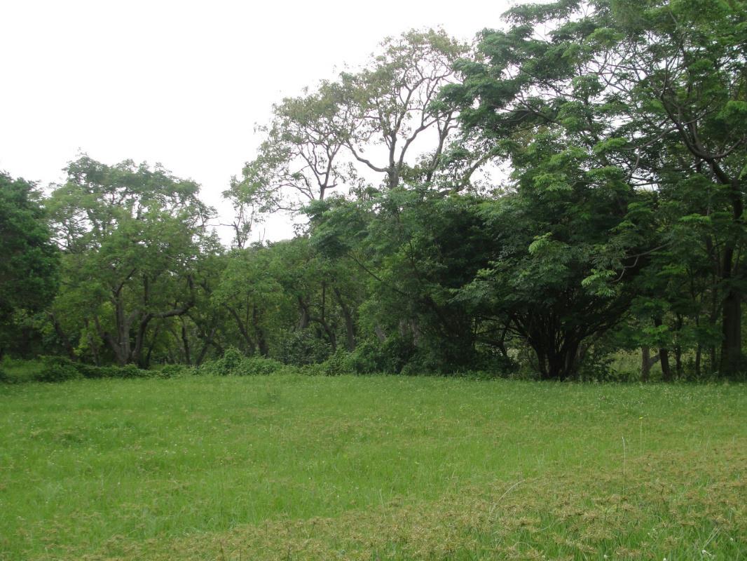 Residential vacant land for sale in Shelly Beach - 1MA1160237