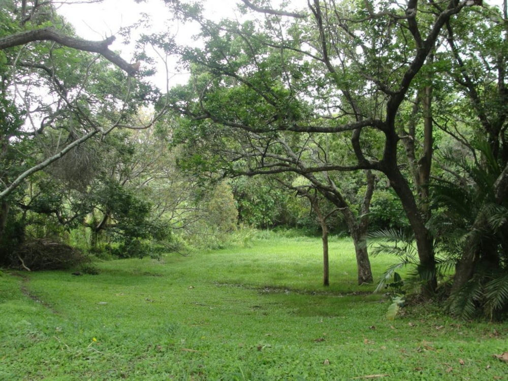 Residential vacant land for sale in Shelly Beach - 1MA1160237 Residential vacant land for sale in Shelly Beach - 1MA1160237