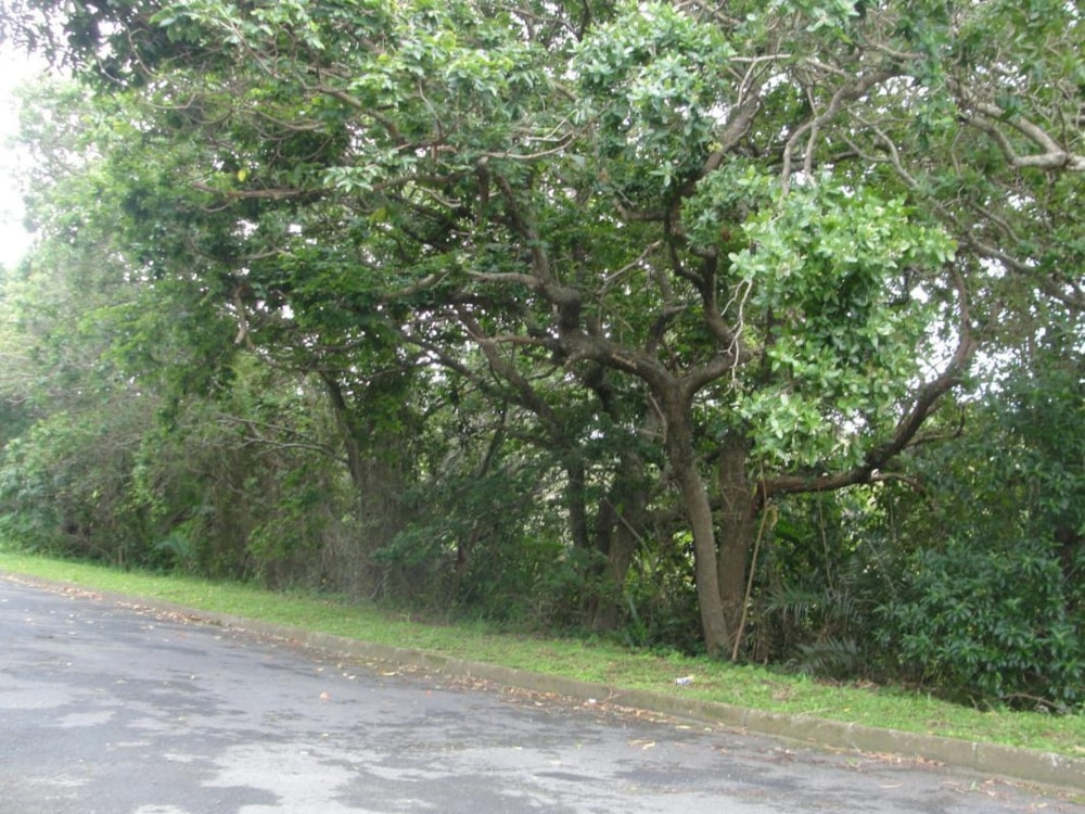 Residential vacant land for sale in Shelly Beach - 1MA1160237 Residential vacant land for sale in Shelly Beach - 1MA1160237