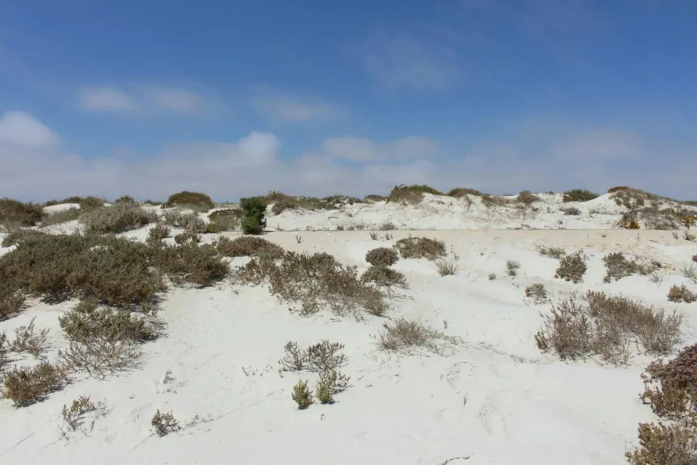 Vacant land for sale in Port Nolloth - 1NA1225304 Vacant land for sale in Port Nolloth - 1NA1225304