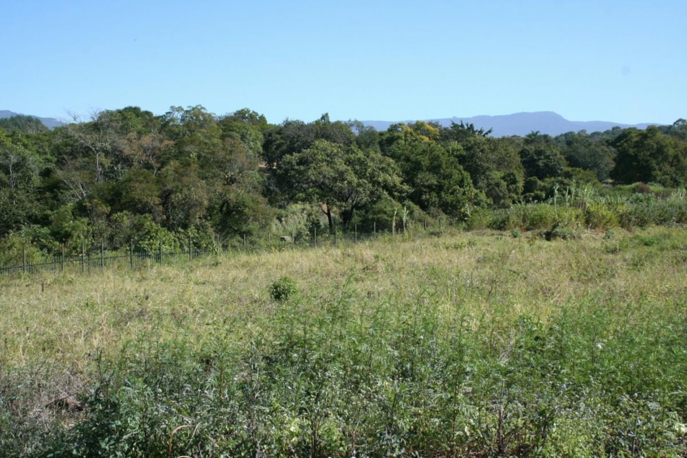 Residential vacant land for sale in Tzaneen, Limpopo Province - 1TA1631951