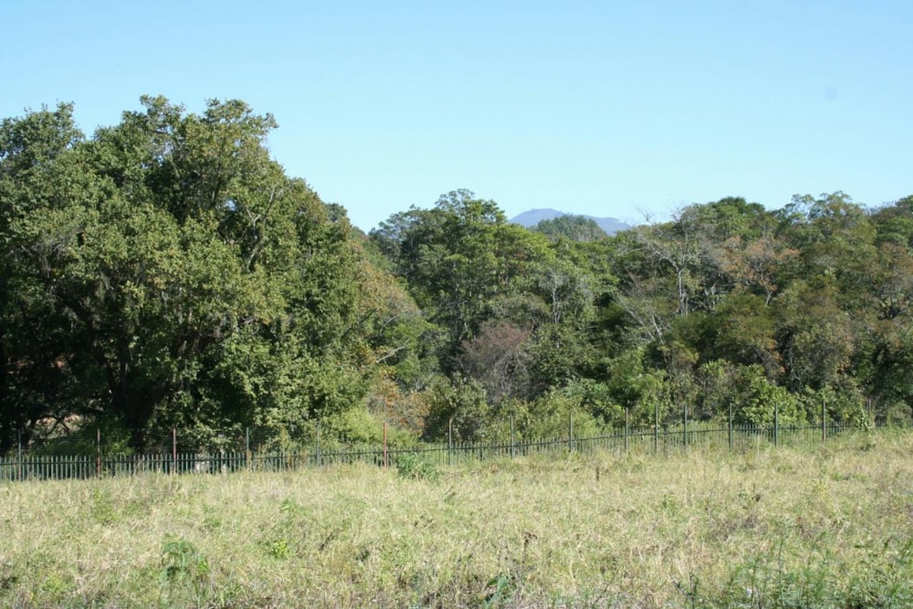 Residential vacant land for sale in Tzaneen, Limpopo Province - 1TA1631951
