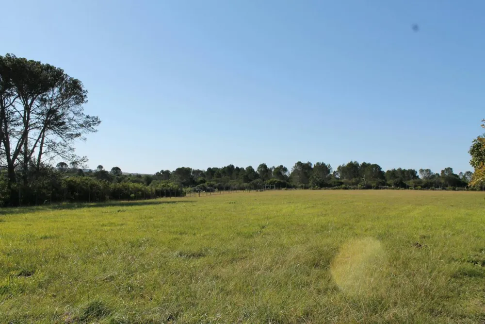 Game farm for sale in Port Alfred - 1PF1226359
