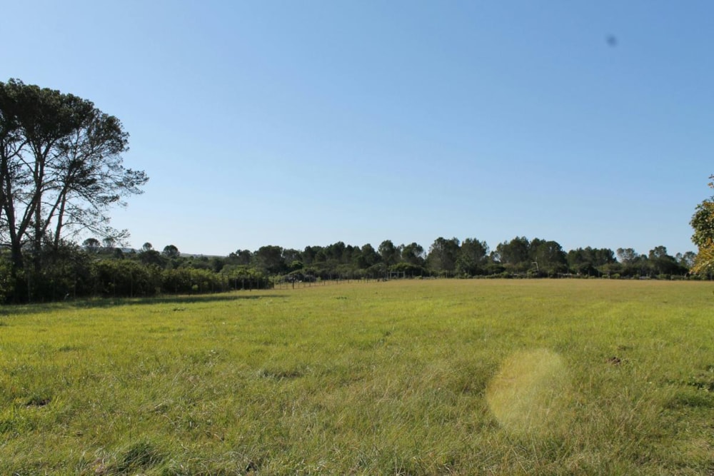 Game farm for sale in Port Alfred - 1PF1226359 Game farm for sale in Port Alfred - 1PF1226359