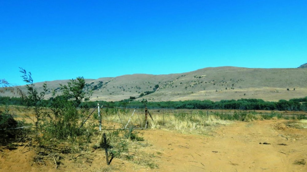 Livestock farm for sale in Lydenburg (Mashishing) - 1LY1472546 Livestock farm for sale in Lydenburg (Mashishing) - 1LY1472546
