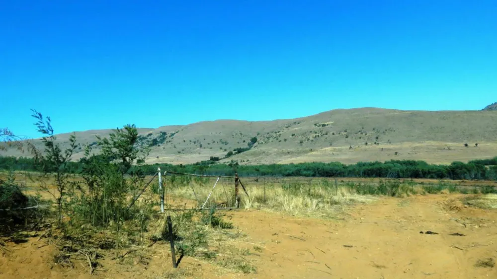 Livestock farm for sale in Lydenburg (Mashishing) - 1LY1472546 Livestock farm for sale in Lydenburg (Mashishing) - 1LY1472546