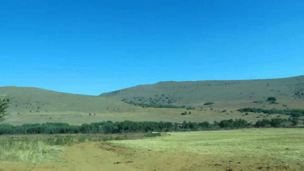Livestock farm for sale in Lydenburg (Mashishing) - 1LY1472546 Livestock farm for sale in Lydenburg (Mashishing) - 1LY1472546