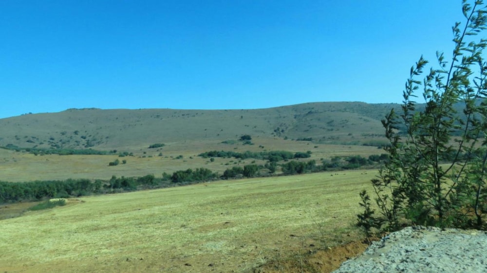 Livestock farm for sale in Lydenburg (Mashishing) - 1LY1472546 Livestock farm for sale in Lydenburg (Mashishing) - 1LY1472546