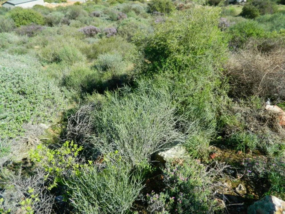 Residential vacant land for sale in Clanwilliam - 1NA1226640