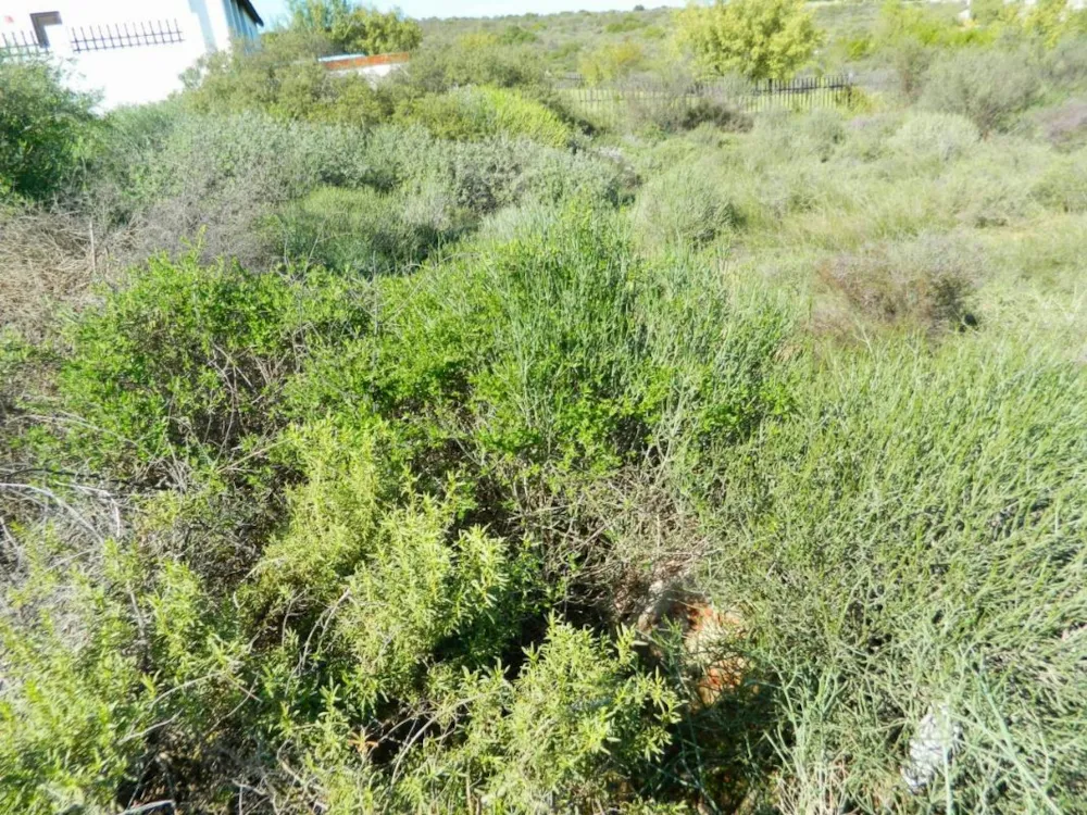 Residential vacant land for sale in Clanwilliam - 1NA1226640