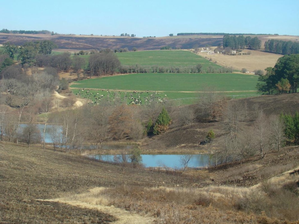 Vacant land for sale in Underberg - 1UB1232952