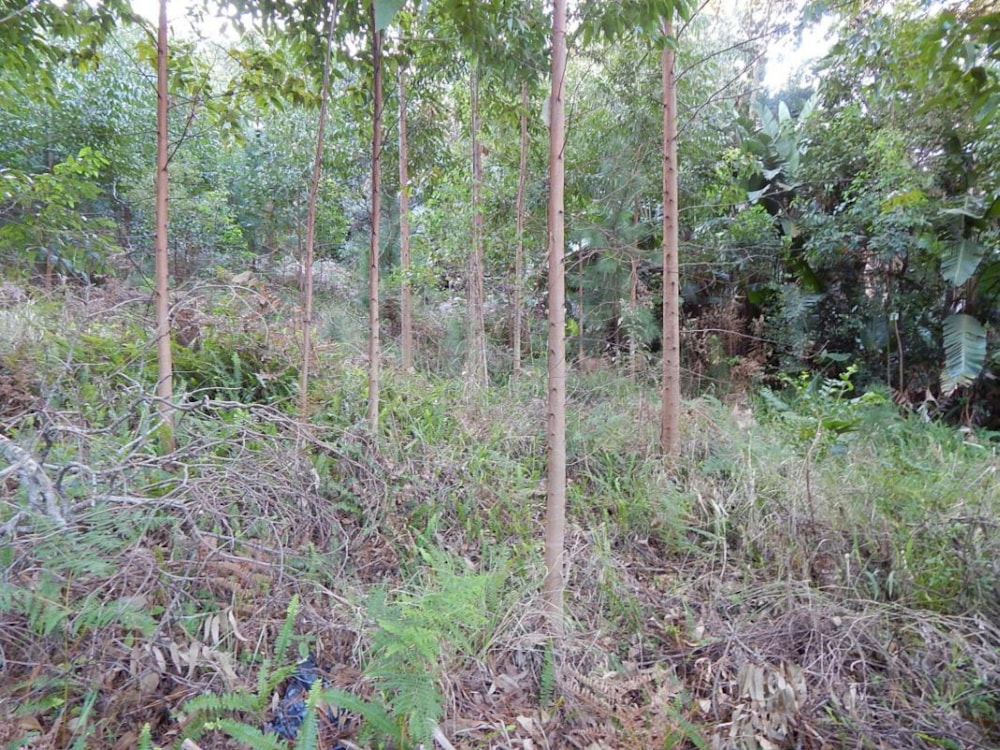 Commercial vacant land for sale in Marina Beach - 1PD1529000 Commercial vacant land for sale in Marina Beach - 1PD1529000