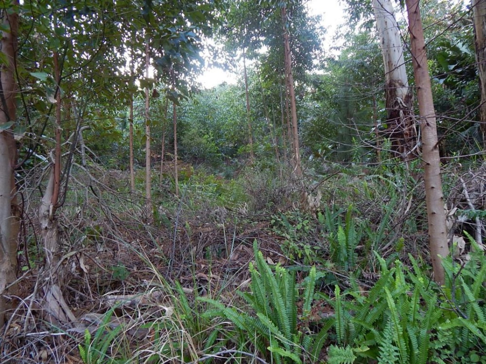 Commercial vacant land for sale in Marina Beach - 1PD1529000 Commercial vacant land for sale in Marina Beach - 1PD1529000