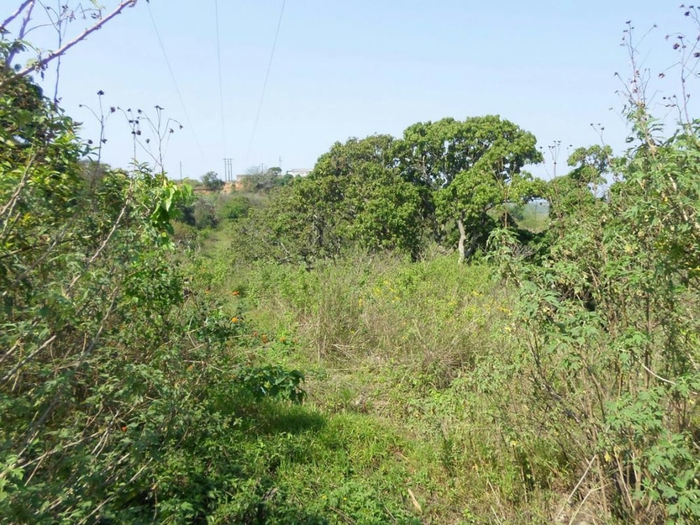 Residential vacant land for sale in Umzinto - 1si1240769