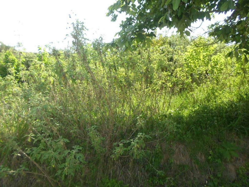Residential vacant land for sale in Umzinto - 1si1240782