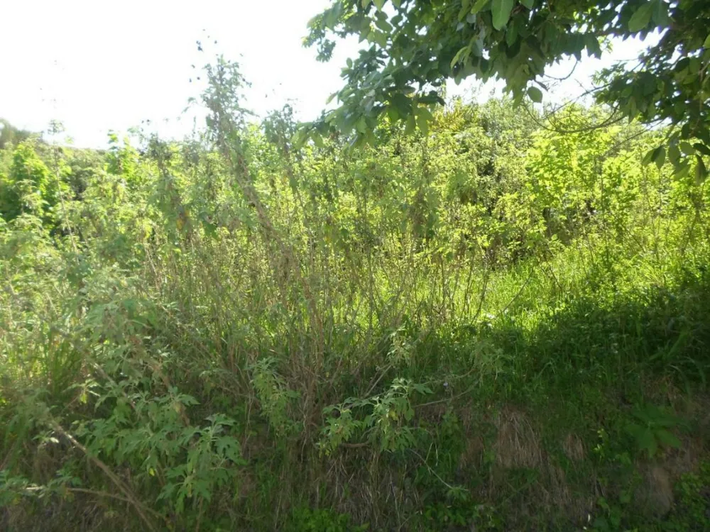 Residential vacant land for sale in Umzinto - 1si1240782 Residential vacant land for sale in Umzinto - 1si1240782