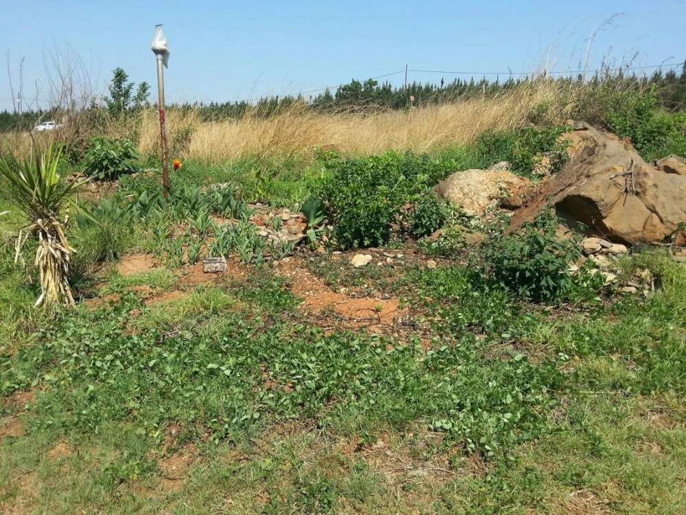 Residential vacant land for sale in Sabie - 1LY1699511